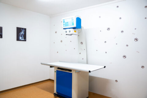 Frakturversorgung mit dem LCP-System