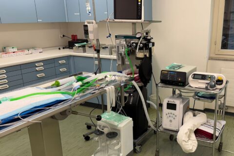 Anästhesie und Schmerztherapie