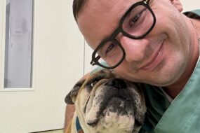 Dr. med. vet. Petar Polajnar