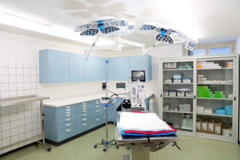 Anästhesie und Schmerztherapie